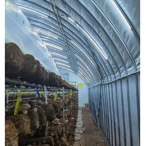 China Estufas de vidro de luz solar moderna com sistema de irrigação automática supplier