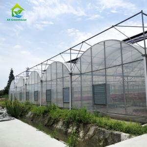 China 6m 8m 9m Span Clear Plastic Film Greenhouse Vegetable Farming supplier
