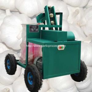 China Automatic Discharging Fresh Garlic Root and Leaf Cutting Machine supplier
