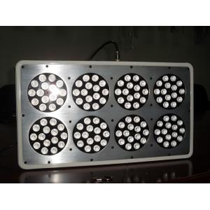 China Apollo 8 LED Grow Light Red630 Blue460 Best Growing Lights Flowering and Vegetation Greenh supplier