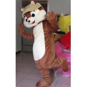 China Trajes de alta qualidade da mascote do esquilo do personagem de banda desenhada para o adulto wholesale