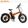 20 Inch Mountain Fat Tire Foldable Electric Bike 48v 500w Bafang Motor