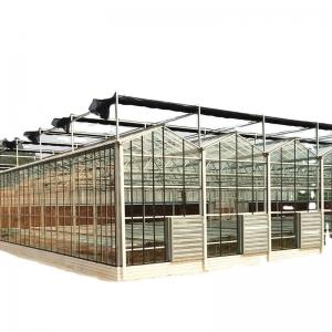 China Large Customized Agricultural Glass Greenhouse with PVC Hydroponic Gutter System supplier