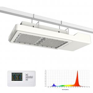 China Plant Horticultural LED Grow Light Solution 800W Max PPF 2200 Umol/S supplier