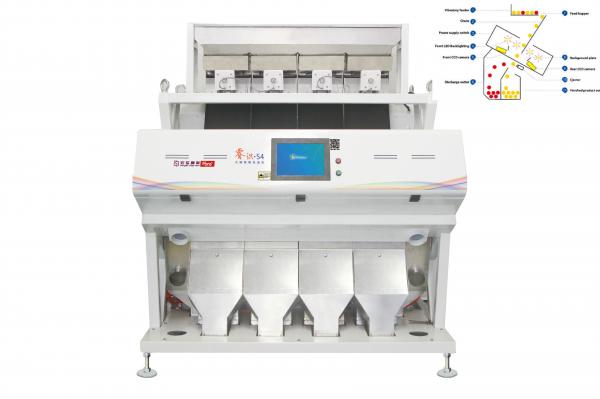 252 Channels Classification Cashew Color Sorter Automatic Separation