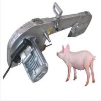 China Abattoir Design Poultry Slaughterhouse Equipment 380V Animal Slaughtering Machine on sale
