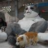 China Life Size Realistic Animatronic Animals 200W Size Custom Interactive Talking Cat wholesale