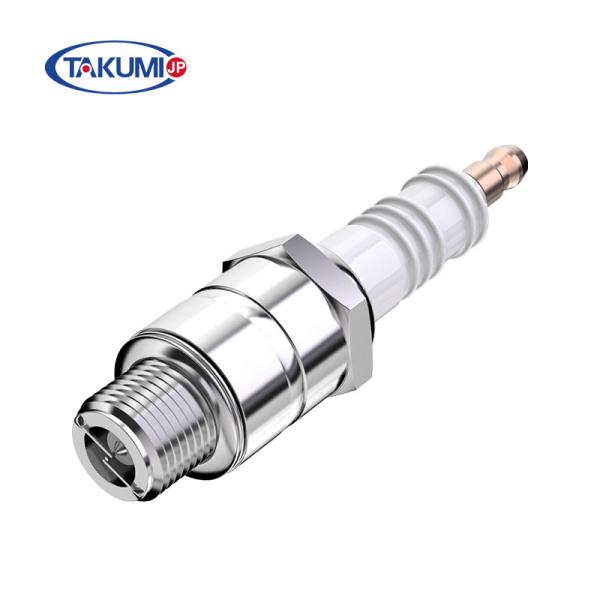 Double Parallel Electrodes Engine Spark Plug Replacement For Champion RL85G