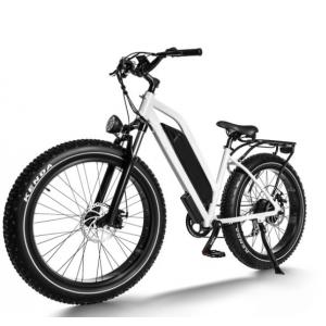 40-50km 700W Electric Bicycle Fat Bike 7 Speed Black