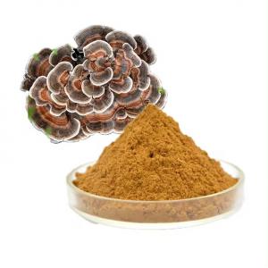 Natural Coriolus Versicolor Extract Powder Turkey Tail Mushroom Extract Powder