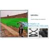 China Plastic Hdpe Cellular Textured Gravel Stabilizer Typar Geocell Recycled Plastic Pavers Textured Perforated Driveway wholesale