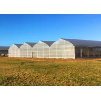 China UV Protected Plastic Film Greenhouse with High Wind Resistance and UV Protection on sale