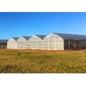 20%-90% Shading Rate and Anti-Aging for Plastic Film Greenhouse