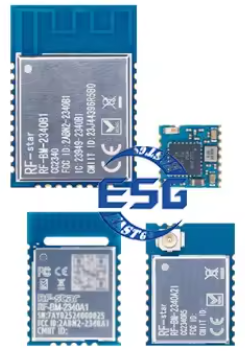 China RF-BM-BG22C3 Bluetooth module wholesale