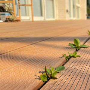 Residential WPC Decking Panel Wood PVC Composite Decking Panel CE