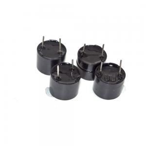 China Universal Black Color 12V OKYSTAR Active Buzzer supplier