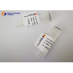 Customized NSE Mouse Monoclonal Antibodies at -20 °C Storage Temperature