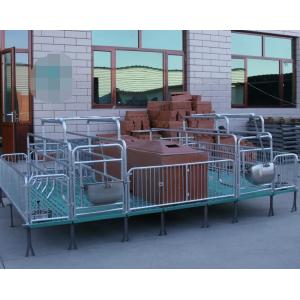 China Livestock Piglet Incubator Galvanized Steel Pipe Commonly Type Frame supplier