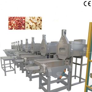 China Full Automatic High Blanching Rate Peanut Slitting Blanching Machine wholesale