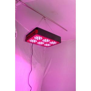200w led grow light cidly with full spectrum for aromatic plants seed