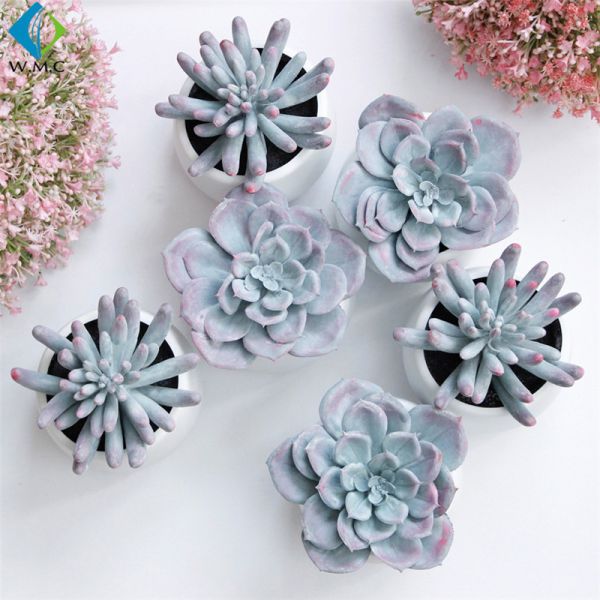 本箱の装飾の人工的な緑植物、家の使用のどの水気が多い植物