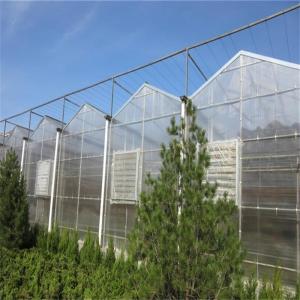 China Large Venlo Glass Greenhouse Perfect Fit For Plant Growth Needs supplier