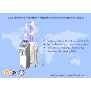 China 4 Handle Weight Loss Cryolipolysis Machine / Fat Freezing Vacuum Cavitation Slimming Machine supplier