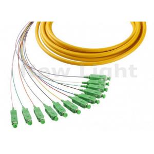 China 1 Meter Fiber Optic Jumper Cables SM Simplex SC APC 12 Core Fanout Fiber Optic Pigtails supplier