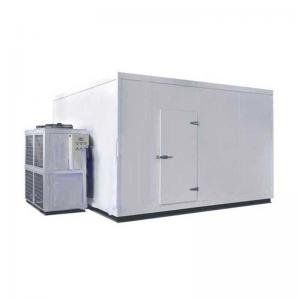 China Customized Size Blast Chiller Freezer Warehouse Cold Container Copeland Compressor supplier