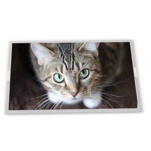 China stock Compatible 5.5-Inch WLED LCD Display Module NL3224AC35-10 320*240 Resolution Custom ODM LCD Modules wholesale