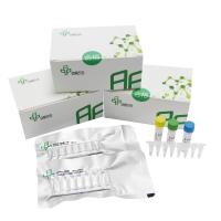 China Reliable RNA Basic Isothermal Amplification Kit For Accurate Result on sale