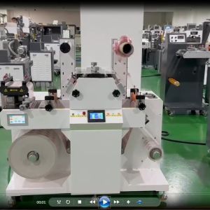 China Smart-210 Servo Motor Flexo Rotary Die Cutter Computarizado supplier