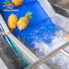China Maximice sus ganancias con nuestra avanzada máquina de procesamiento de frutas y verduras wholesale
