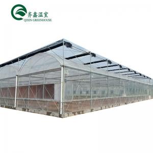 China Double-Layer Hydroponic Greenhouse for Growing Tomatoes in Controlled Environment supplier