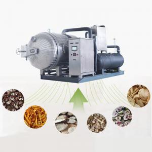 China Vacuum Stainless Steel Industrial Freeze Dried Fruit Machine supplier