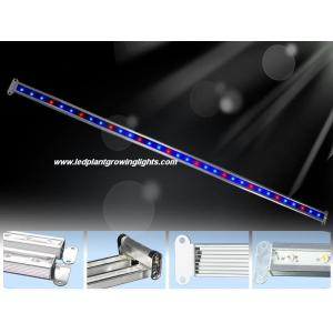 China Waterproof 33W Indoor Led Plant Growing Lights Strip 7500K With High Efficiency supplier