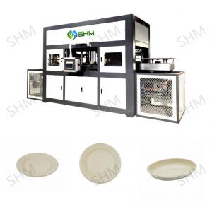 China Precision Paper Tray Forming Machine Pulp Food Container Making Machine supplier