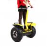 Buy cheap Electric Scooter Segway People Mover For Adult 125Kg Max. Load Lead Acid Battery from wholesalers