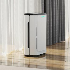 LED Screen Portable Home Air Purifiers 100V With Silver Ion Sterilization ETL