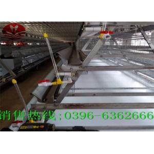 Custom Automatic Manure Removal System A Type Poultry Farm Machine Long Service Life