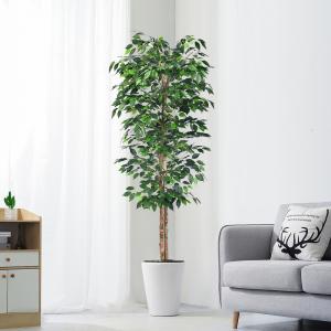 China Flame Retardant H180cm Artificial Ficus Plant , Ficus Fake Tree Natural Look supplier