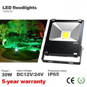 30W LED Floodlights DC12V/24V IP65 Waterproof Bridgelux LED Bulbs flooding Spotlight