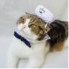 Navy Set Cats Wearing Clothes Loveable Fashionable Any Logo Available