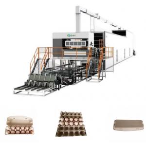 Custom Paper Tray Making Machine Long Lasting For Egg Trays Boxes