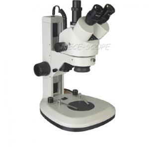 High Magnification Trinocular Stereo Zoom Microscope With Digital Camera WF10× / 20mm