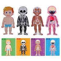 China Cognitive Magnetic Educational Jigsaw Toys Jigsaw Human Anatomy Body Puzzles Toys on sale