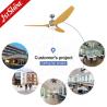 China Modern Design 1stshine Ceiling Fan with ABS Plastic Blades and Remote Control Light wholesale