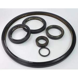 Valve Seat Spring Energized Seals Drilling Rig Spare Parts Gate Valve Seat Seal