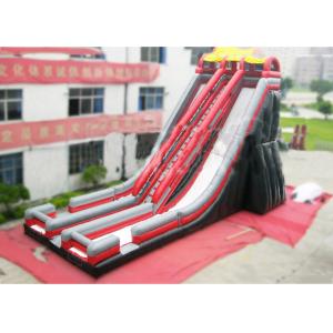 China Ice Age Inflatable Slide Rental Double Water Slide For Ice Age Film Fans wholesale