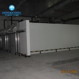 Deep Freezer Cold Room For Meat And Fish With Full Automatic Control
